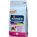 ADVANCE SENIOR Talie Medie 12kg hrana uscata affinity advance