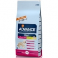 ADVANCE SENIOR Talie Mare 15kg hrana uscata affinity advance