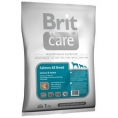 Somon şi Cartofi 1kg Adult All Breed - BRIT CARE hrana uscata brit