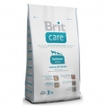 Somon şi Cartofi 3kg Adult All Breed - BRIT CARE hrana uscata brit