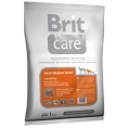 Medium Breed 1kg Miel şi Orez - BRIT CARE