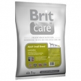 Small Breed 1kg Miel şi Orez - BRIT CARE