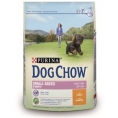 DOG CHOW Puppy SMALL BREED cu Pui 2,5kg