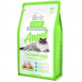 Angel Delighted Senior 400g Cat - BRIT