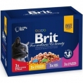 Pachet plicuri pentru pisici-12x100g - BRIT PREMIUM hrana umeda brit