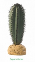 PLANTE EXO TERRA SAGUARO CACTUS S