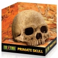 DECOR EXO TERRA PRIMATE SKULL