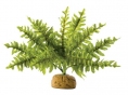 PLANTE EXO TERRA BOSTON FERN S