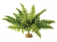 PLANTE EXO TERRA BOSTON FERN M decoruri hagen