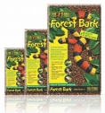 ASTERNUT FOREST BARK