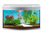 ACVARIU TETRA AQUAART EVOLUTION 100 L