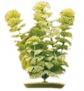 Plante acvariu Hagen Marina Ambulia 30 cm