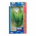 Plante acvariu  Amazon Swordplant, 12.5cm