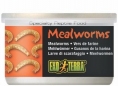 MENIU EXO TERRA MEALWORMS hrana hagen