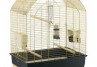 COLIVIE GRETA AURIE
