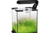 ACVARIU AQUAEL SHRIMP 10 ACVARIU AQUAEL SHRIMP 10