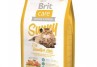 Sunny Beautiful Hair 400g - BRIT Sunny Beautiful Hair 400g - BRIT