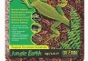 ASTERNUT TROPICAL TERARIU