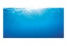Decor acvariu Juwel Poster 2 S